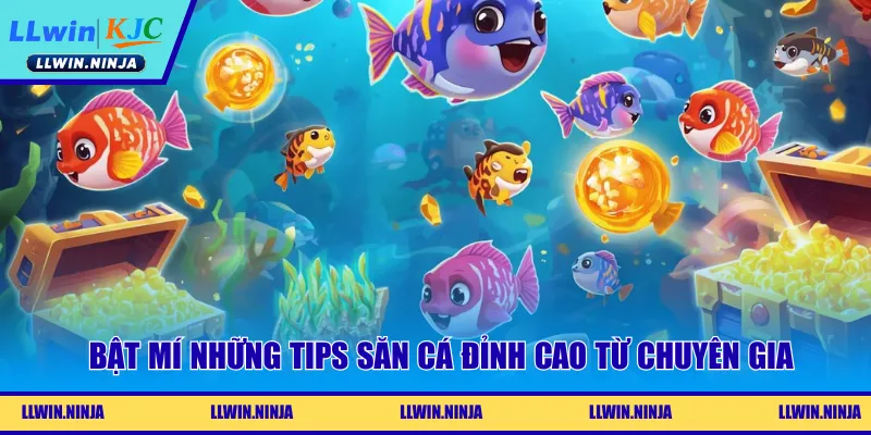 Bật mí những tips săn cá đỉnh cao từ chuyên gia