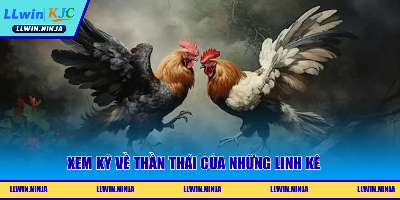 Xem kỹ về thần thái của những linh kê